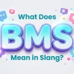 what does bms mean in slang