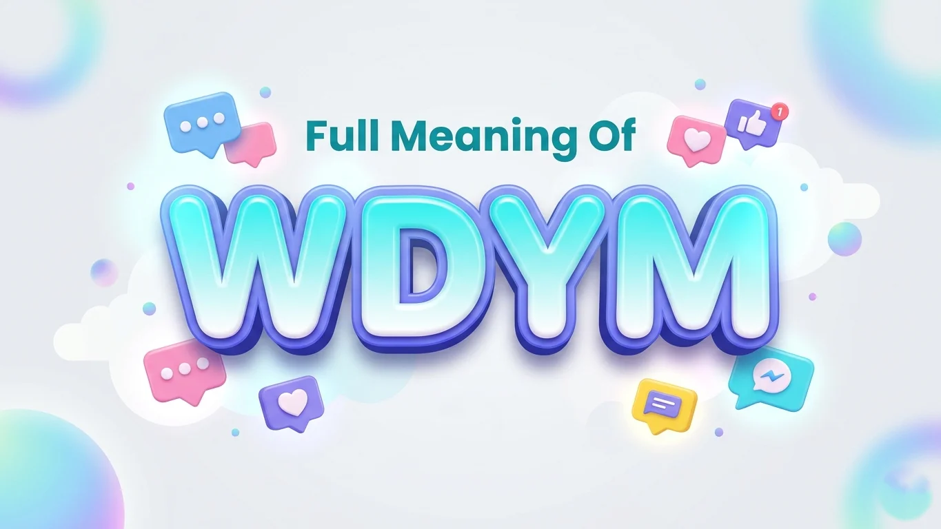 full meaning of wdym