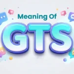 meaning of gts