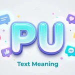 PU Text Meaning: What It Means in Texts and Social Media