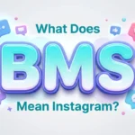 what does bms mean instagram