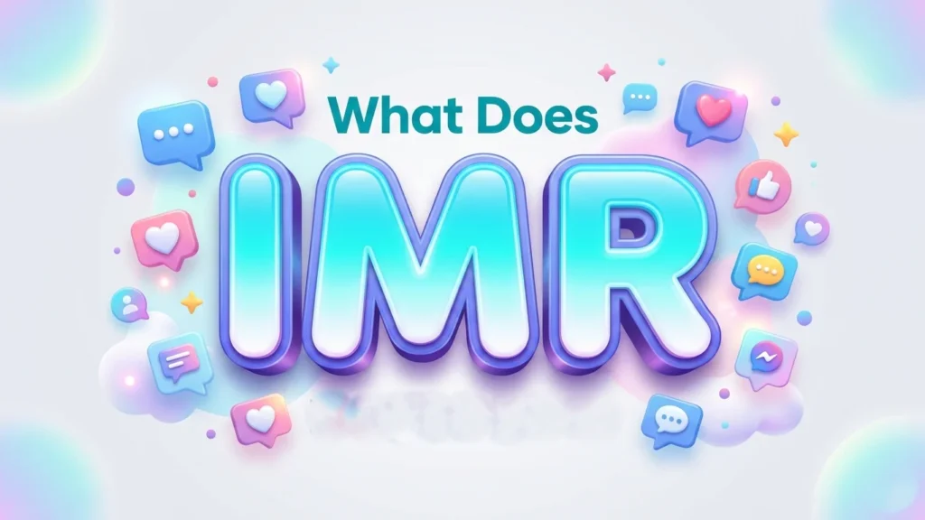 what does imr