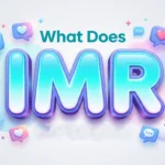 what does imr