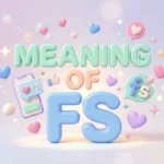 meaning of fs