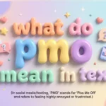 what do pmo mean in text