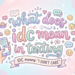 what does idc mean in texting