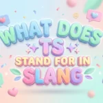 what does ts stand for in slang
